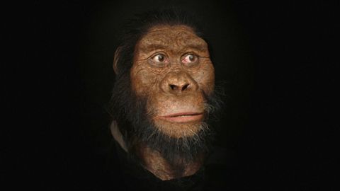 Vědci objevili lebku předchůdce člověka starou 3,8 milionu let