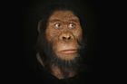 Vědci objevili lebku předchůdce člověka starou 3,8 milionu let