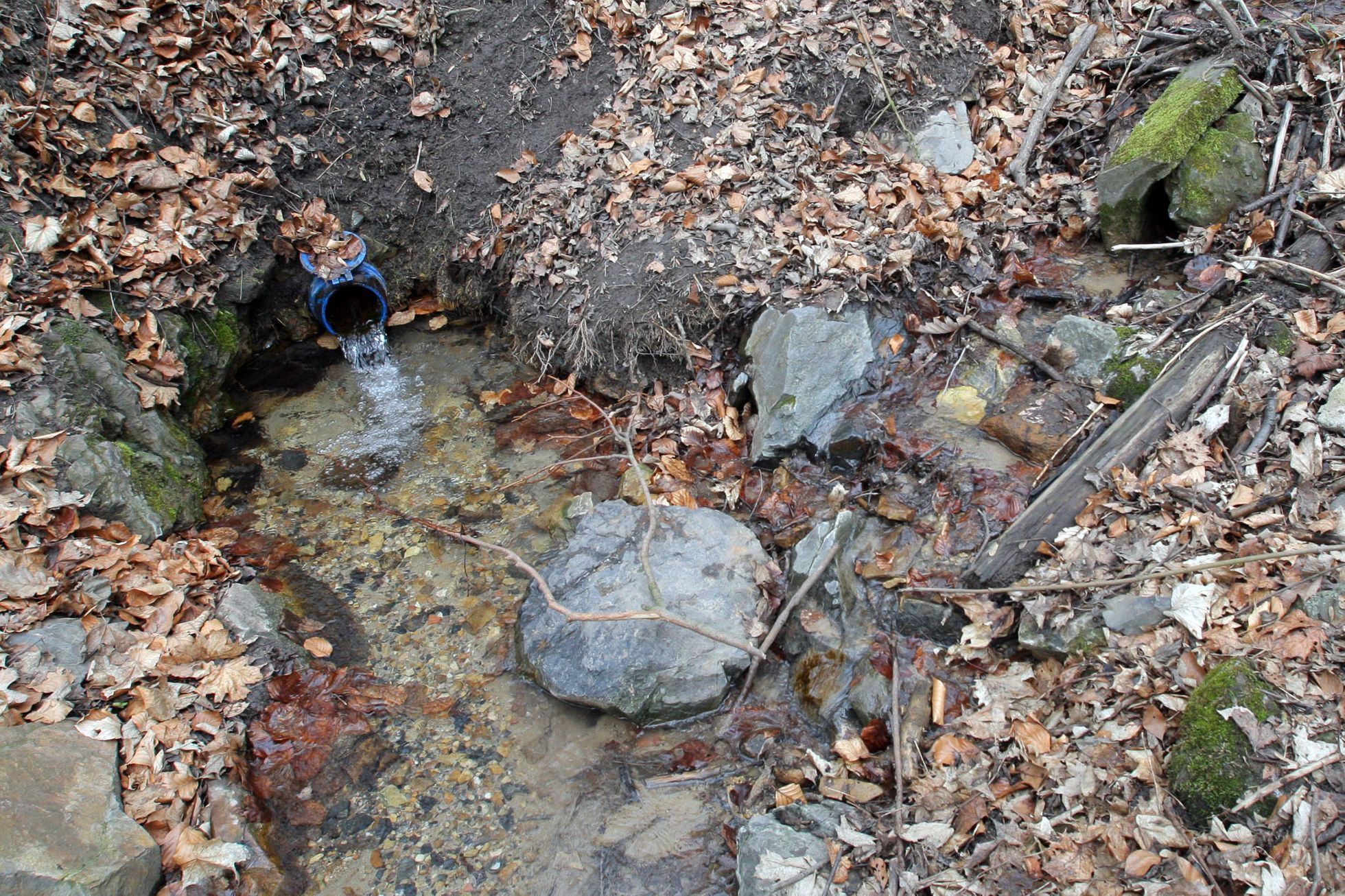 Pražské studánky