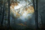 Vítěz kategorie Krajina a příroda: Veselin Atanasov (Bulharsko) - Časný podzim