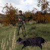 Armed Assault 2