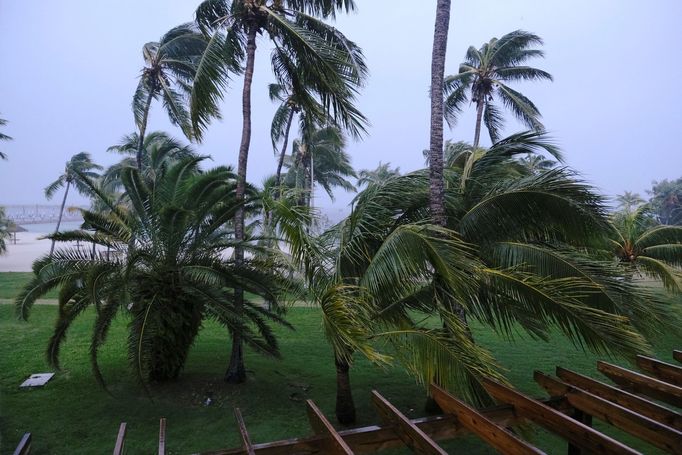 Palmy pod náporem silného větru na Bahamách.