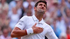 Novak Djokovič, finále Wimbledonu 2019