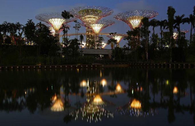 The giant concrete tree-like structures of Supertrees Grove of the Gardens by the Bay are pictured at dusk in Singapore June 28, 2012. The 101-hectare gardens situated at the heart of Singapore's new downtown at Marina Bay, which have two greenhouses and 220,000 plants from almost every continent, was officially opened by Singapore's Prime Minister Lee Hsien Loong on Thursday. REUTERS/Tim Chong (SINGAPORE - Tags: ENVIRONMENT SOCIETY TRAVEL) Published: Čer. 28, 2012, 4:10 odp.