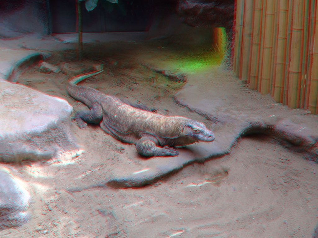 ZOO 3D