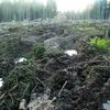 Koleje v Modravě v Národním parku Šumava
