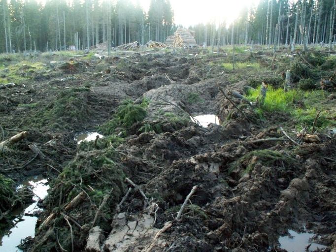 Koleje v Modravě v Národním parku Šumava