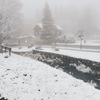 Sníh Karlova Studánka