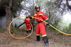 Podle španělského deníku El Mundo plameny sežehly asi 1500 hektarů borových lesů, tedy asi tři procenta ostrovního území.