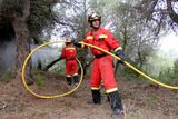 Podle španělského deníku El Mundo plameny sežehly asi 1500 hektarů borových lesů, tedy asi tři procenta ostrovního území.