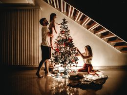 Jak vybrat vánoční stromek s ohledem na přírodu? Zkuste letos ekologickou variantu