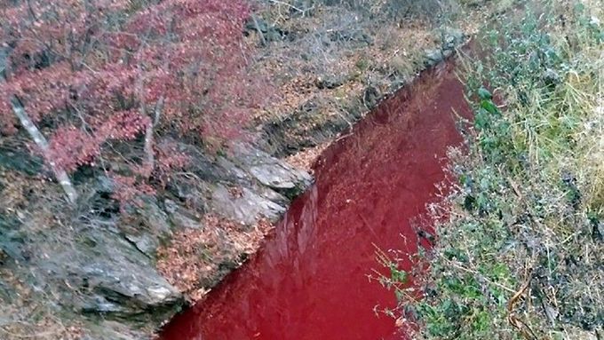 Korejská řeka Yeoncheon Imjin zbarvená prasečí krví. Listopad 2019