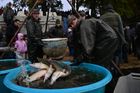 Výlov Rožmberka, který trvá od pátku do neděle, se za poslední dvě desítky let stal mimořádnou událostí, která láká mnoho lidí. V minulých letech ji za tři dny navštívilo až 50 tisíc zájemců; 17. října 2025.
