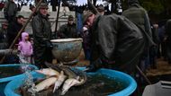 Výlov Rožmberka, který trvá od pátku do neděle, se za poslední dvě desítky let stal mimořádnou událostí, která láká mnoho lidí. V minulých letech ji za tři dny navštívilo až 50 tisíc zájemců; 17. října 2025.