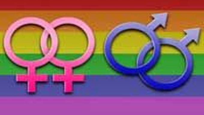 Duhová vlajka se symbolikou partnerství lidí stejného pohlaví.