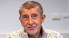 Předseda hnutí ANO Andrej Babiš