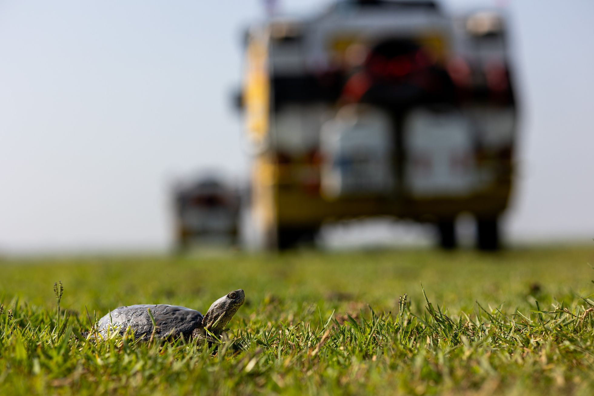 Dan Přibáň, žlutá žába, Irán volume II, příběh 8