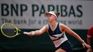 Barbora Krejčíková ve finále French Open s Anastasií Pavljučenkovovou