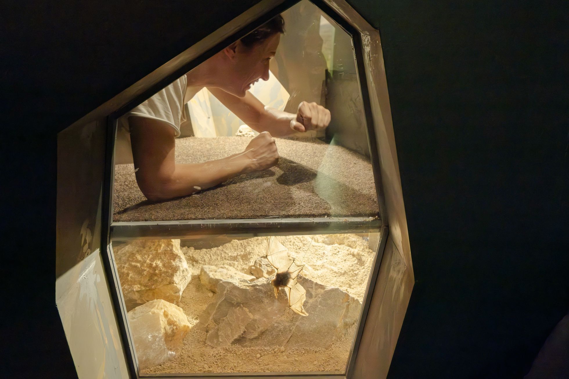 Koněprusy - Přírodní centrum