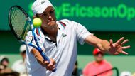 Andy Roddick drtil Berdycha díky skvělému podání a forhendu