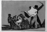 Goya: (Dobře) známá pošetilost; Přísloví. Ze sbírek Moratova institutu, Freiburg