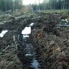 Koleje v Modravě v Národním parku Šumava