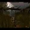 Dragon Age:Origins