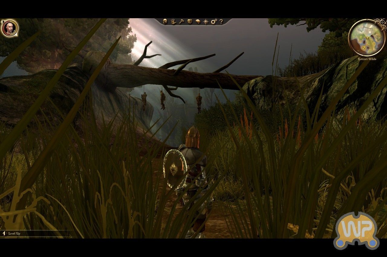 Dragon Age:Origins