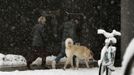 People walk past a snow covered bicycle in Germering, near Munich October 28, 2012. REUTERS/Michaela Rehle (GERMANY - Tags: ANIMALS ENVIRONMENT SOCIETY TRANSPORT) Published: Říj. 28, 2012, 9:28 dop.