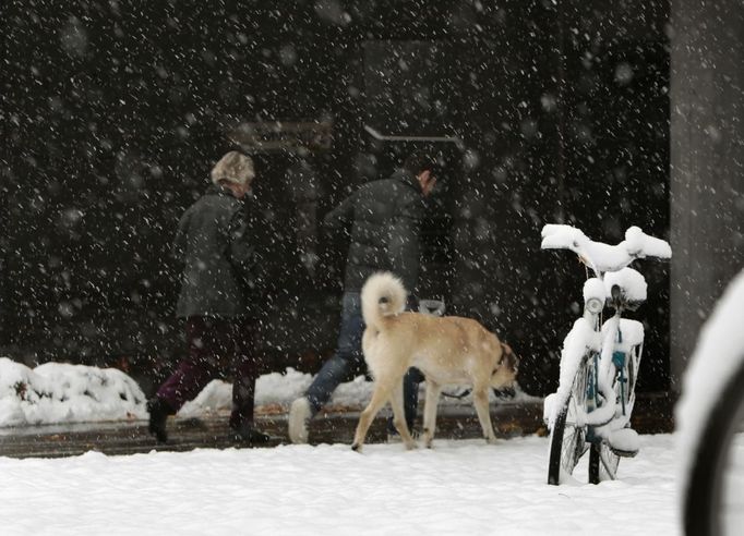 People walk past a snow covered bicycle in Germering, near Munich October 28, 2012. REUTERS/Michaela Rehle (GERMANY - Tags: ANIMALS ENVIRONMENT SOCIETY TRANSPORT) Published: Říj. 28, 2012, 9:28 dop.