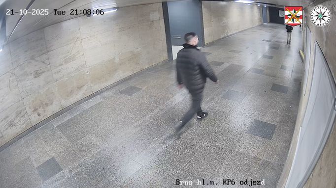 Brněnští policisté pátrají po pachateli, který v podchodě k nástupišti na hlavním nádraží okradl mladou ženu. Využil situace, kdy mířila na vlak a měla plné ruce.