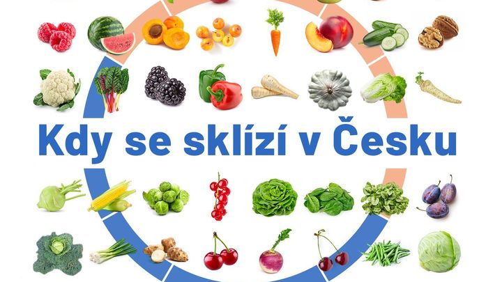 Česká rajčata v květnu? Ověřte si, zda vás farmáři na trzích netahají za nos; Zdroj foto: Aktuálně.cz