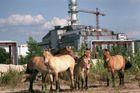 Radioaktivní pohřebiště či beznaděj v zakázané zóně. Fotograf dokumentuje Černobyl