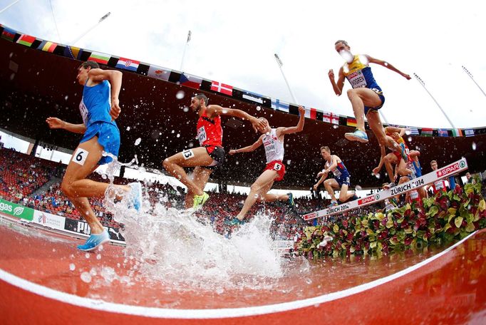 Běh na 3000 metrů steeplechase na ME v Curychu 2014