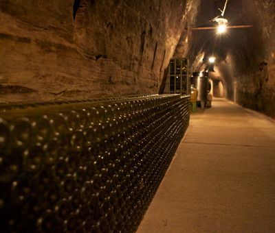 Festival otevřených sklepů 2