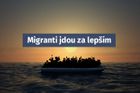 Studie: Evropští členové OECD přijali od roku 2015 více migrantů než USA