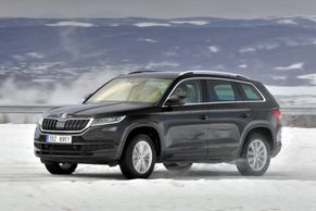 Prodej nových aut v Česku překonal v březnu další rekord. Podívejte se, které modely nejvíc táhnou