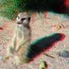 ZOO 3D