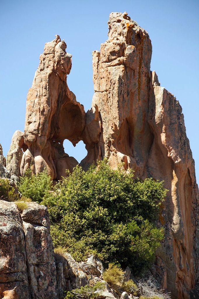 Obrazem: Fascinující podoby symbolu srdce v přírodě