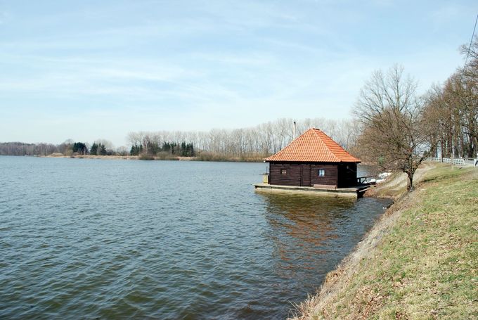 Pohled na Horusický rybník z hráze v roce 2010, kde bylo v roce 1993 nalezeno tělo oběti Ivana Roubala.