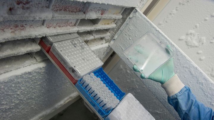 Schovejte si stolici do naší banky, může vás to zachránit před rakovinou, radí biolog; Zdroj foto: Profimedia.cz