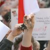Demonstrace za odstoupení Paroubka