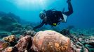 Maritime archaeologist Dr. Kelly Gleason with the Papahanaumokuakea Marine National Monument is shown with a ginger jar from the 19th-century.