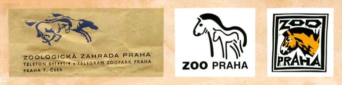 Zoo Praha má koně Převalského dlouhodobě ve svém znaku