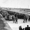 Jednorázové použití / Fotogalerie / Uběhlo 80 let od osvobození koncentračního tábora smrti v Osvětimi / TV