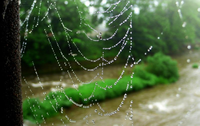 Bývalý přechod v Těšíně