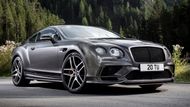 Bentley Continental Supersports - 15,9 litru benzinu na 100 km. Jde o nejhladovější vůz na trhu.