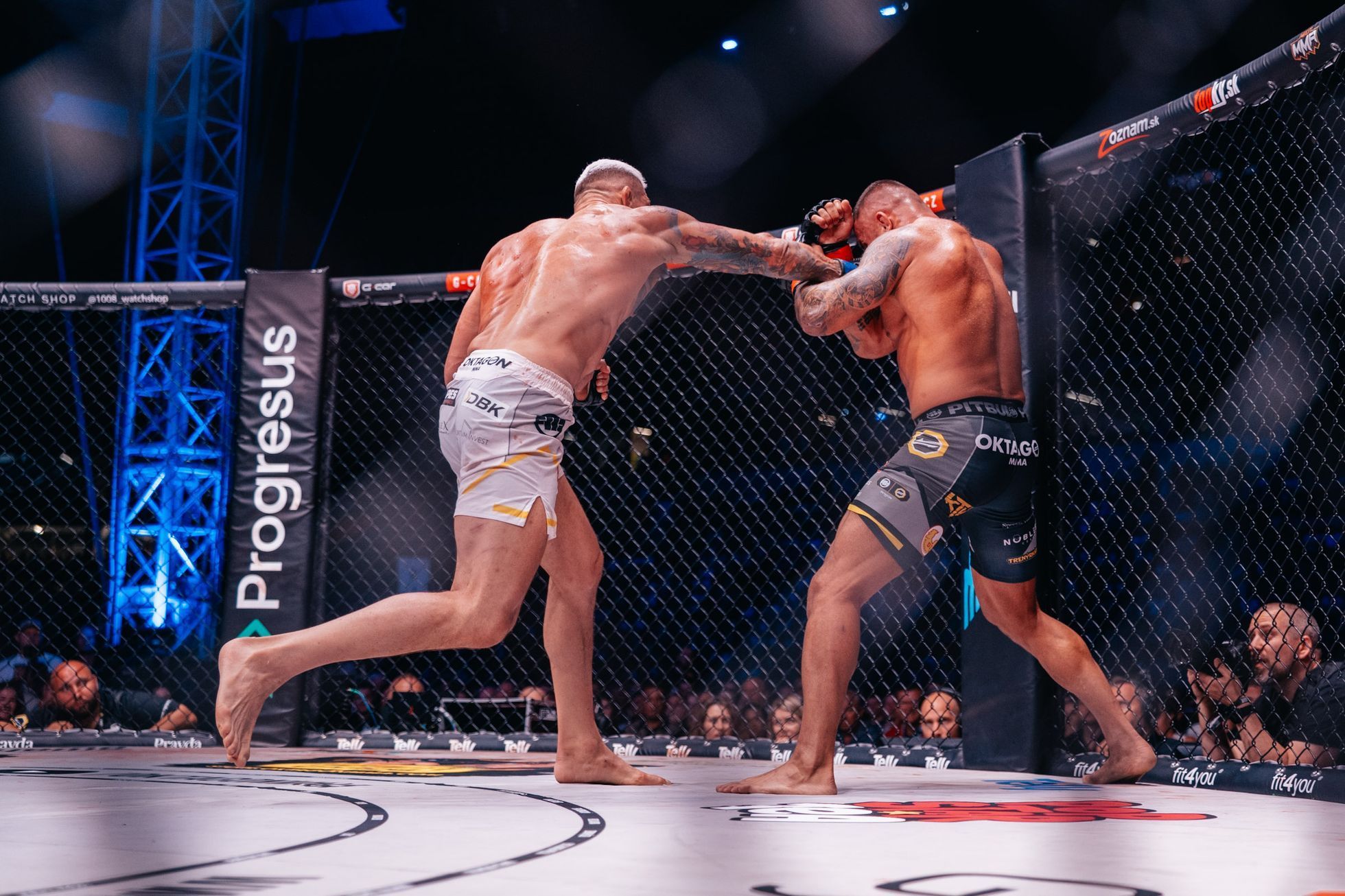 MMA: Vémola - Végh