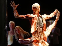 Bodies are coming to Brno.