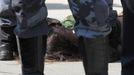 A supporter of Native Indians lays on the ground during a protest in front of the Brazilian Indian Museum in Rio de Janeiro March 22, 2013. Brazilian military police took position early morning outside the Indian museum, where a native Indian community of around 30 individuals who have been living in the abandoned Indian Museum since 2006. Indians were summoned to leave the museum in 72 hours by court officials since last week, local media reported. The group is fighting against the destruction of the museum, which is next to the Maracana Stadium. REUTERS/Sergio Moraes (BRAZIL - Tags: POLITICS CIVIL UNREST MILITARY) Published: Bře. 22, 2013, 1:35 odp.